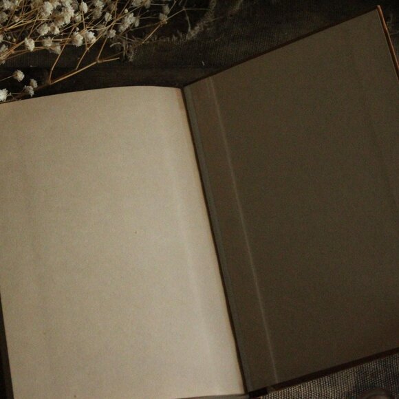 Vintage 1920s Book, "McGuffey's Third Eclectic Reader", Revised Edition American - Picture 13 of 13